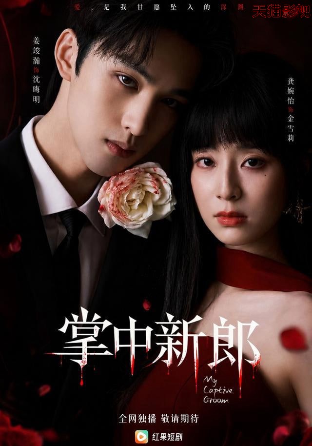 掌中新郎