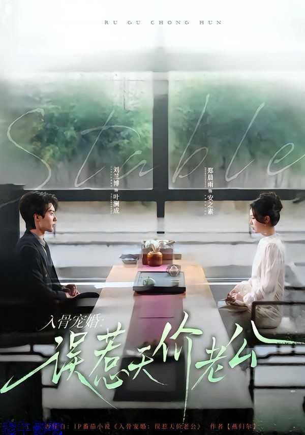 入骨宠婚：误惹天价老公